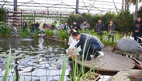 温室生态景观设计、施工