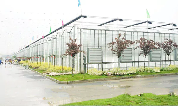 Innovative Smart Glass Greenhouse 