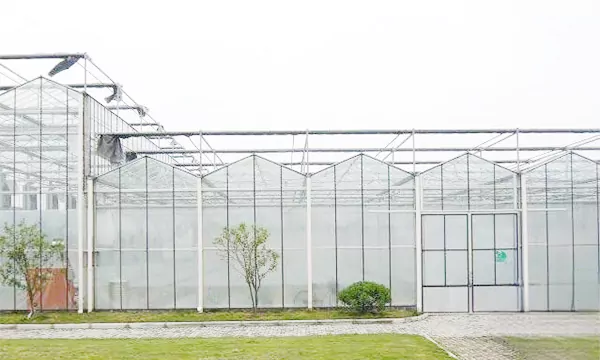 Multi-Span Polycarbonate Greenhouse