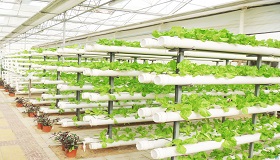 Various new soilless cultivation facility cases for greenhouses