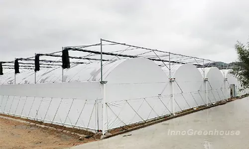 Mushroom & Fungi Cultivation Greenhouse