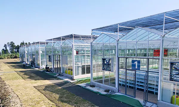 fully equipped innovative small glass greenhouse