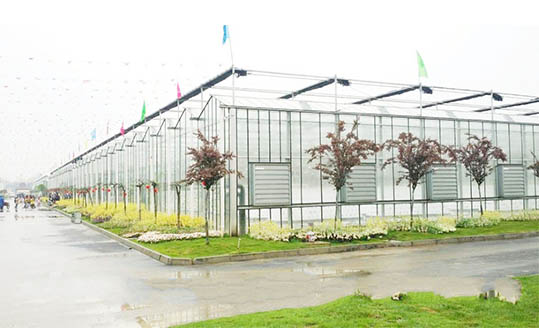 Innovative Smart Glass Greenhouse 