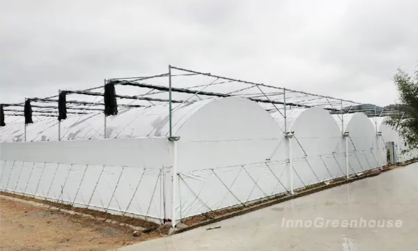 Mushroom & Fungi Cultivation Greenhouse (Specialized)