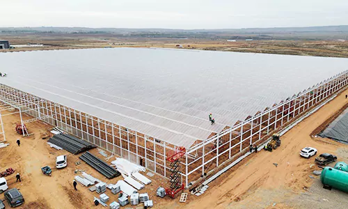 Plant Factory-Style Large Production Greenhouse Construction Site