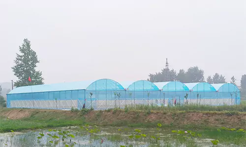 New Large Space Arched Plastic Film Greenhouse for Fruits and Vegetables