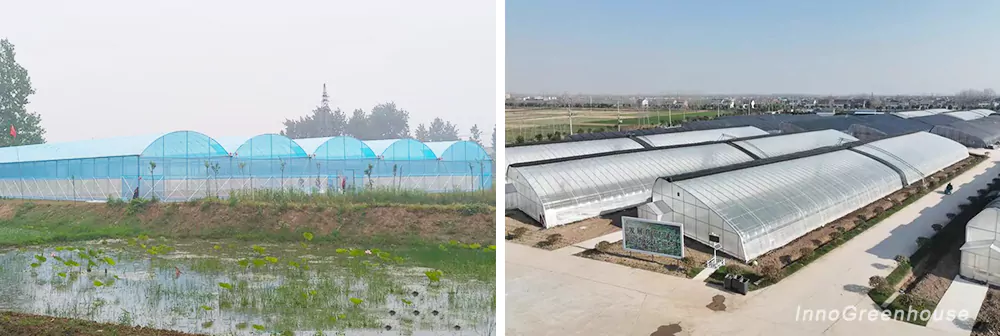 multi-span greenhouses and plastic film sunlight greenhouses