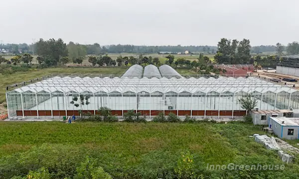 1800㎡ Multi-Span Glass Greenhouse Installation Completed On-Site