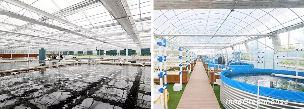 Glass greenhouse aquaculture