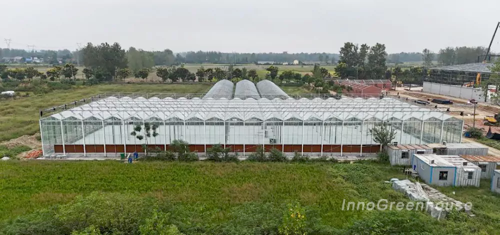 Glass greenhouse