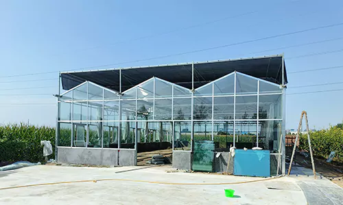 New greenhouse for the animal sanctuary now completed