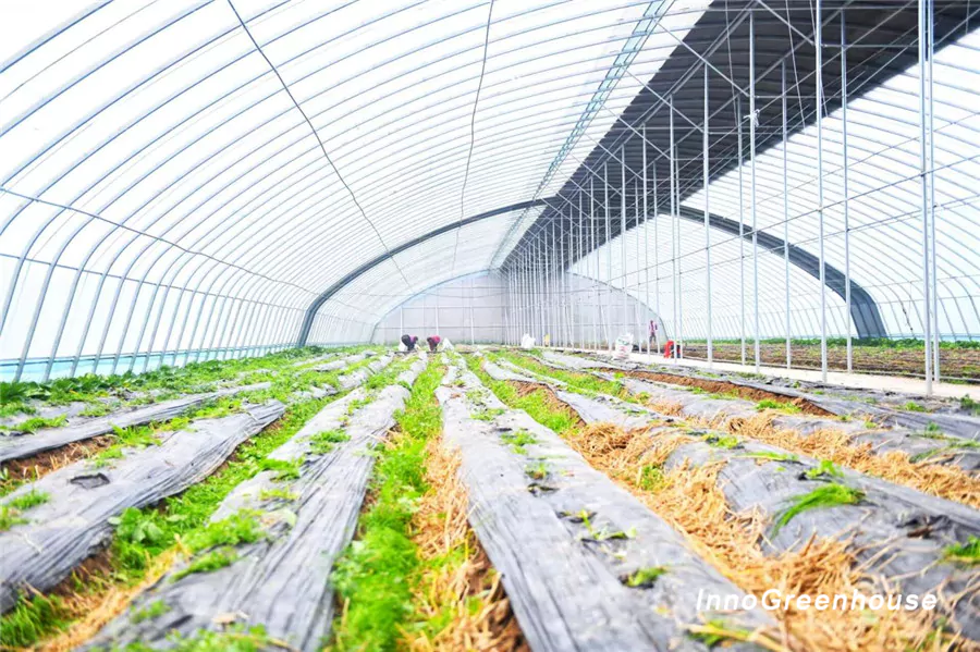 Plastic film arch greenhouse with an insulating quilt