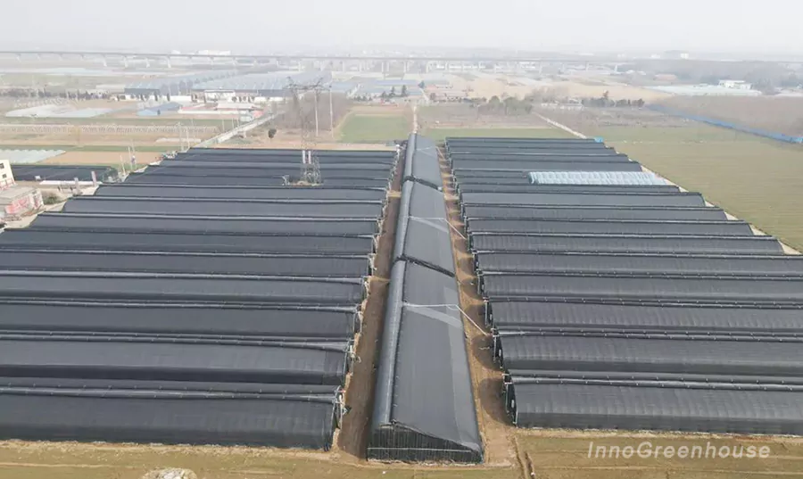 The appearance of the greenhouse with the top insulation blanket unfolded.