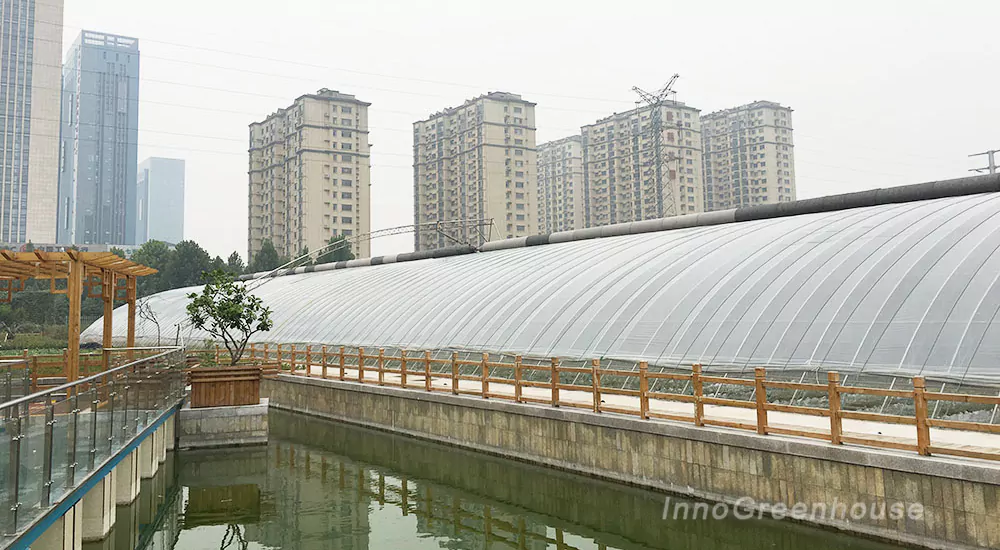 Greenhouse roof surface