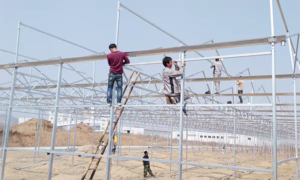 Complete Process of Multi Span Polycarbonate Greenhouse  Installation