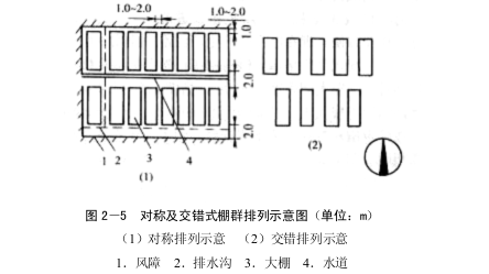 蔬菜大棚布局图