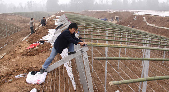 蔬菜大棚骨架建设现场