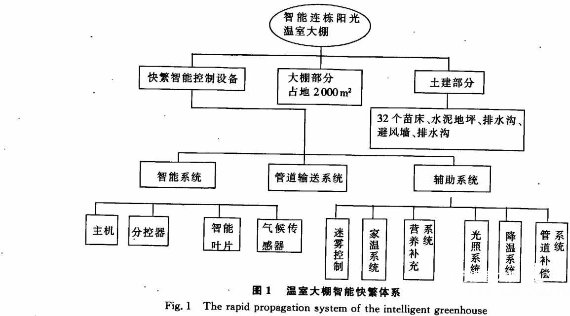 智能温室大棚快繁体系