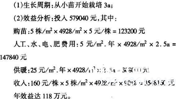 温室大花惠兰栽培效益分析