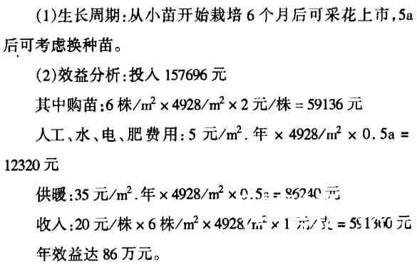 温室月季栽培效益分析