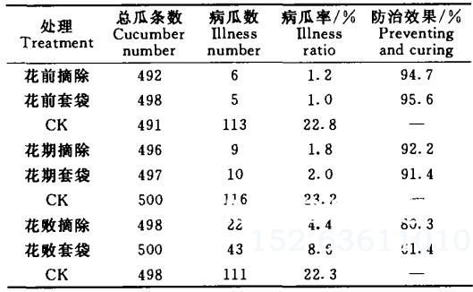 摘花、套袋防治温室大棚黄瓜灰霉病的效果