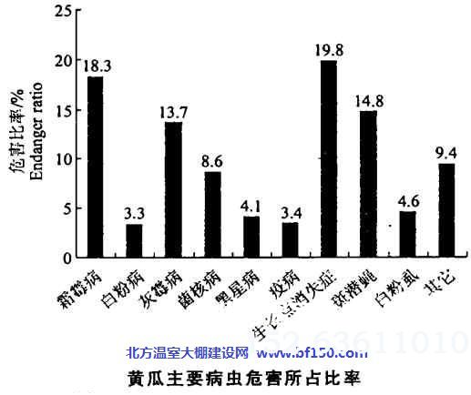 温室大棚黄瓜重要病虫害危害大小