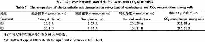 温室大棚茄子页面光合速率、蒸腾速率、气孔导度、胞间二氧化碳浓度比较