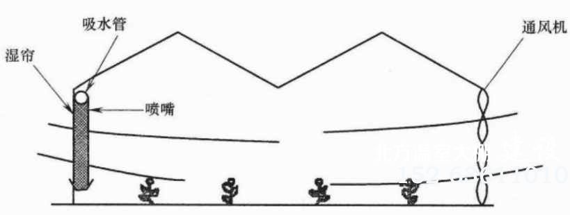 温室大棚湿帘—风机降温示意图