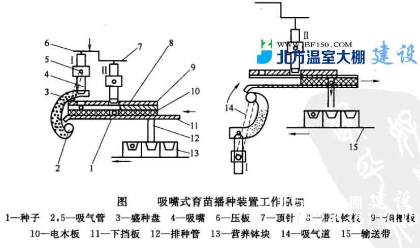  吸嘴式气力播种工作原理