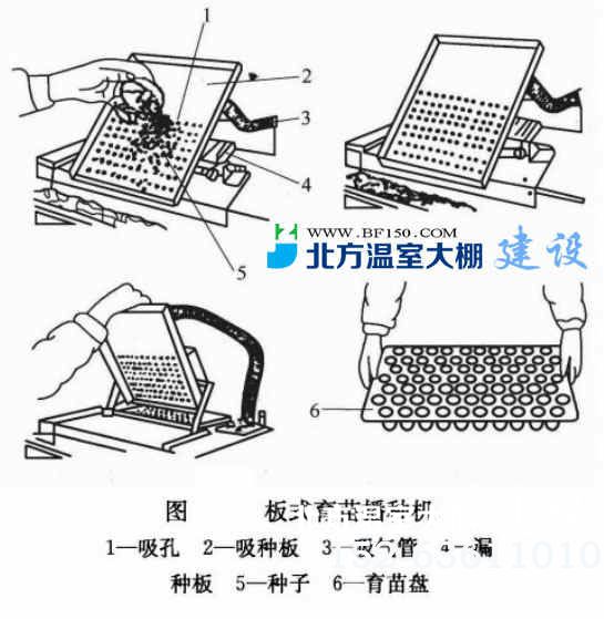 板式育苗播种机