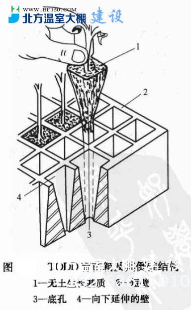 TODD育苗箱及其倒锥结构图