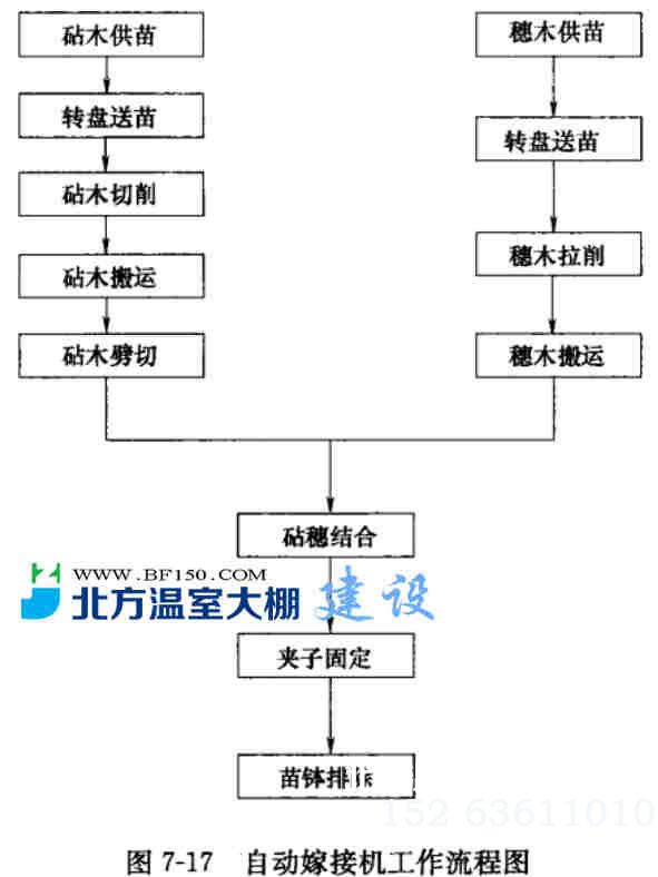 自动嫁接机作业流程图