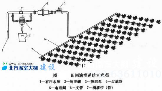 滴灌系统示意图