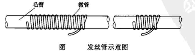 滴灌-发丝管示意图