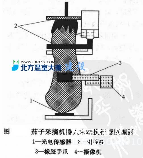 茄子采摘机器人末端执行结构示意图