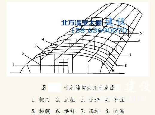 竹竿塑料大棚建造结构示意图