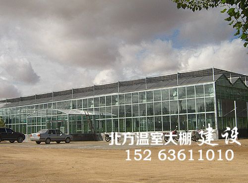 内蒙古连栋玻璃温室建设