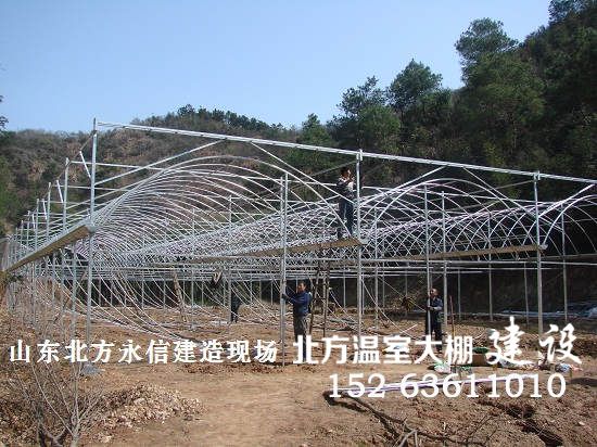 连栋塑料温室建造现场