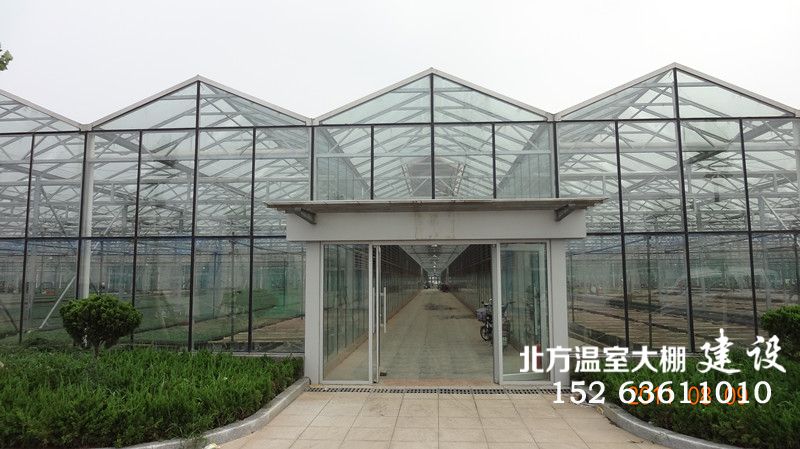 现代温室蔬菜大棚建设