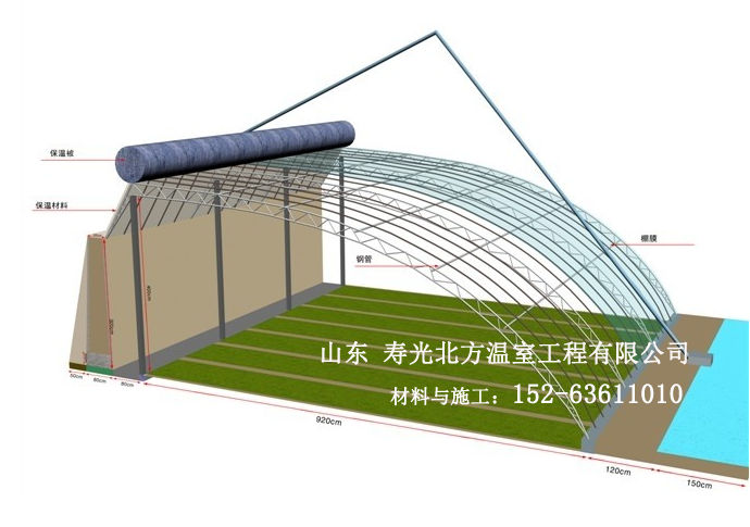 砖墙日光温室大棚结构图图纸-立面图