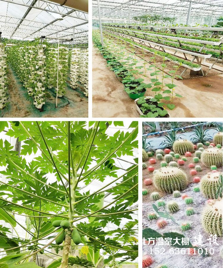 新型温室大棚种植栽培景观