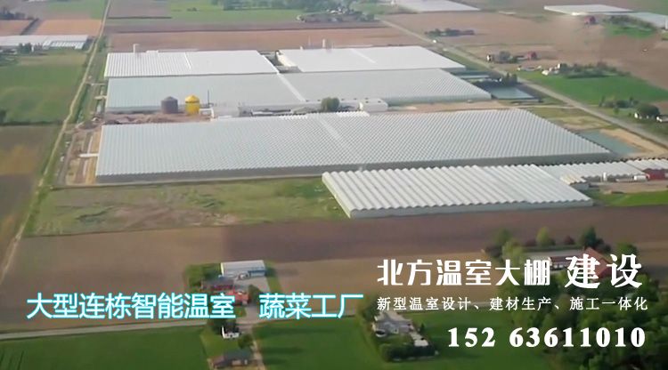 美国的现代化大型植物工厂